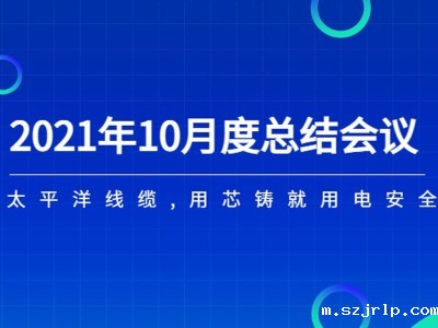 河南szjrlp线缆月度总结会议