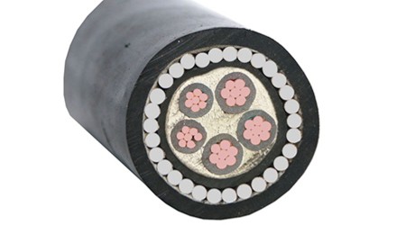 粗钢丝铠装电力电缆zryjv42