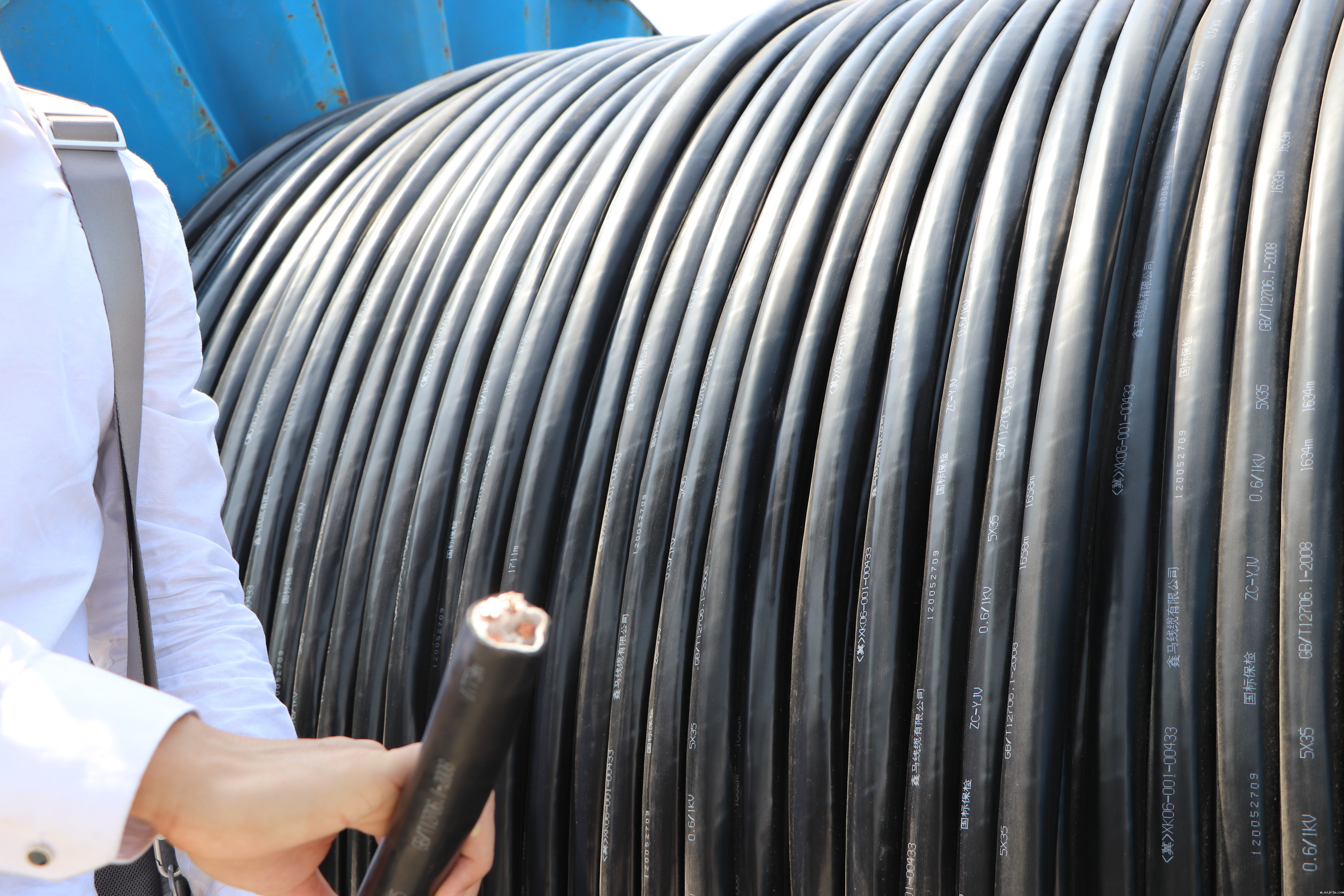 新能源浪潮下的特种电缆：机遇与挑战