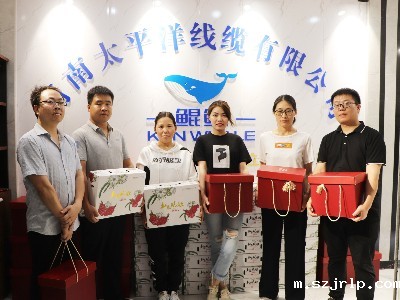 河南szjrlp线缆为员工发放端午节福利